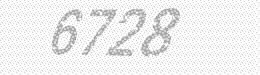 Visual security code — type the characters shown in the image